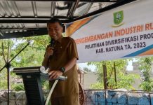 Bupati Natuna Harapkan Wirausahawan Mampu Berinovasi Bupati Kabupaten Natuna, Wan Siswandi membuka acara pelatihan diversifikasi produk bagi pelaku industri rumahan.