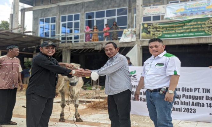 Sambut Idul Adha 1444 H PT TJK Power Serahkan 6 Ekor Sapi Kurban ke Warga Teluk Nipah