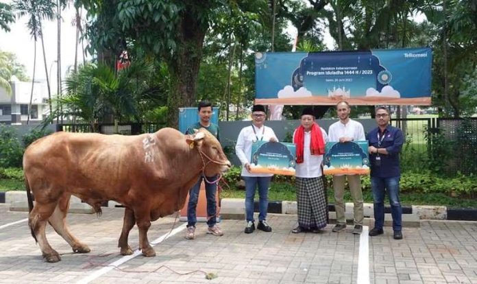 Telkomsel Kurban idul adha 2023