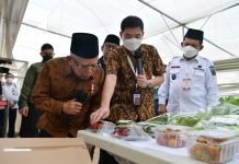 Wakil Presiden dan Gubernur Tinjau Batamindo Green Farm di Southlink Tiban Batam Wakil Presiden dan Gubernur Tinjau Batamindo Green Farm di Southlink Tiban Batam