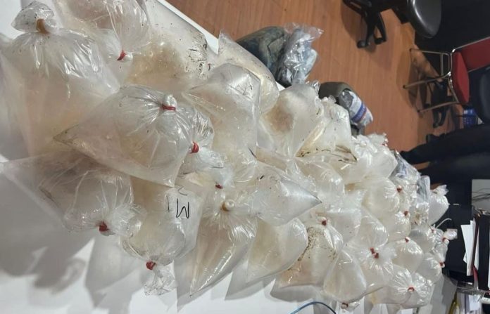 Ancaman Denda 4 Tersangka Penyelundup Benih Lobster Jaringan Lampung-Batam Rp1,5 Miliar