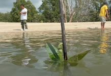 Melalui World Mangrove Center, Indonesia Ajak Dunia Berkolaborasi Kelola Mangrove Melalui World Mangrove Center, Indonesia Ajak Dunia Berkolaborasi Kelola Mangrove