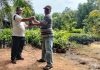 FPKL Perkuat Ketersediaan Pangan Komoditas Hortikultura
