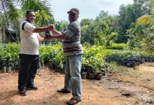 FPKL Perkuat Ketersediaan Pangan Komoditas Hortikultura