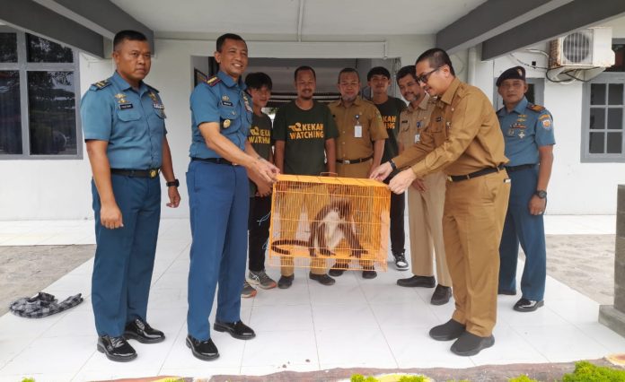 Danlanal Ranai Menyerahkan Hewan Kekah Ke Pemerintah Kabupaten Natuna Danlanal Ranai Menyerahkan Hewan Kekah Ke Pemerintah Kabupaten Natuna