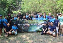 Begini Ascot Indonesia Rayakan Hari Mangrove Sedunia, Dengan Kegiatan Berkelanjutan