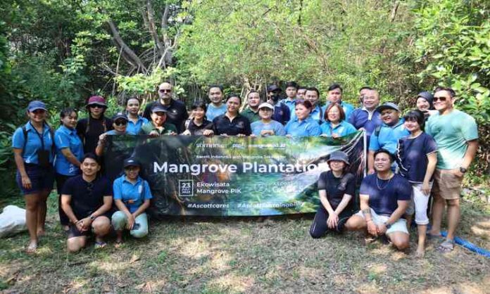 Begini Ascot Indonesia Rayakan Hari Mangrove Sedunia, Dengan Kegiatan Berkelanjutan