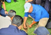 Ketika Rumput di Jakarta International Stadium Jadi “Politisasi” di Medsos Jakarta International Stadium