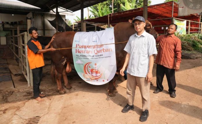 TelkomGroup serahkan Lebih dari 1.000 hewan Kurban ke 7 TelkomGroup serahkan Lebih dari 1.000 hewan Kurban ke 7