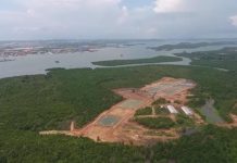 Aktivitas Produksi Arang Bakau di Kepri, Antara ‘Kebutuhan Perut dan Lingkungan Carut Marut’