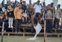 Isu Kerusakan Lingkungan, Menteri Hadi Sebar Benih Ikan dan Tanam Mangrove di Karimun Isu Kerusakan Lingkungan, Menteri Hadi Sebar Benih Ikan dan Tanam Mangrove di Karimun
