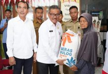 Sekda Jefridin Serahkan 752 Kg Beras CPPD ke Korban Kebakaran di Pulau Buluh