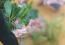 Naas 2 Orang Buruh Bangunan di Karimun Tewas Tersambar Petir