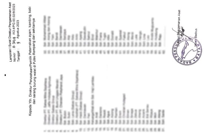 Ada 82 PT dan Pribadi Diminta Kosongkan Lahan di Rempang, Ada Ternak Babi hingga Tambak Udang