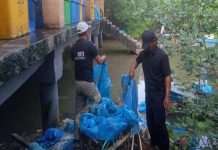 KNTI Bintan Utara Aksi Bersih-Bersih Alur Pantai dan Ekosistem Mangrove KNTI Bintan Utara Aksi Bersih-Bersih Alur Pantai dan Ekosistem Mangrove