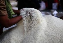 Viralnya Beras Sintesis, Pemko Pekanbaru Pastikan Belum Ditemukannya Hal tersebut Didaerahnya