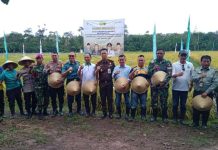 Bupati Lingga Panen Bersama Demplot Perbenihan Padi Terstandard BSIP di Singkep Pesisir Bupati Lingga Panen Bersama Demplot Perbenihan Padi Terstandard BSIP di Singkep Pesisir