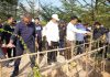 Pemko Batam Dukung Upaya Pemupukan Kembali Pohon Jati Emas, Jadikan Batam Kota Hijau