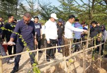 Pemko Batam Dukung Upaya Pemupukan Kembali Pohon Jati Emas, Jadikan Batam Kota Hijau