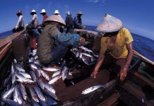 Komitmen Meningkatkan Perekonomian Nelayan, Kades Selat Mendaun Serahkan Bantuan Alat Tangkap