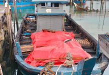 Kanwil DJBC Kepri Tegah Rokok Ilegal Senilai Rp 14 Miliar