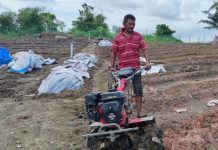 Bukti Kontribusi PT Timah: Tingkatkan Hasil Agrobisnis Kelompok Tani Bukit Naga