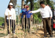 Tanam 1.800 Pohon Jati Mas, Rudi: Wujudkan Batam Baru yang Hijau dan Lestari