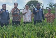 Kakanwil Kemenkumham Kepri: Strategi Capai Ketahanan Pangan di SAE Dompak Kepala Kantor Wilayah Kemenkumham Kepri, I Nyoman Gede Surya Mataram