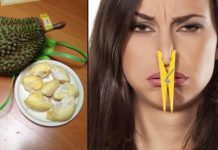 Tips Praktis Mengatasi Bau Durian di Mulut dan Tangan: Nikmati Durian Tanpa Khawatir Jejak Aroma Tips Praktis Mengatasi Bau Durian di Mulut dan Tangan
