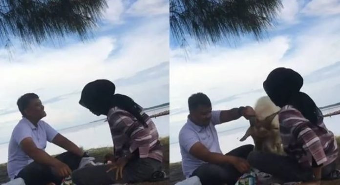 asyik-piknik-diganggu-kambing Pulau Bengkalis