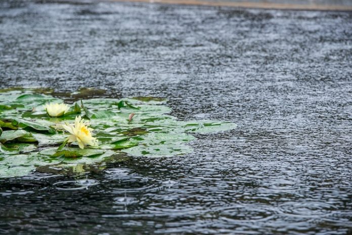 Prakiraan Cuaca Kota Batam Jumat Ini: Hujan Ringan di Pagi Hari