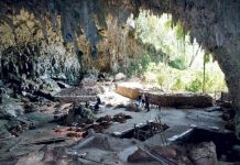 Dunia yang Hilang ada di Indonesia, Ditemukan Hewan Langka Punah Ribuan Tahun Lalu Dunia yang Hilang ada di Indonesia, Ditemukan Hewan Langka Punah