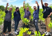 Road HPN 2024, PWI Kepri Gandeng Komunitas Tanam 50 Ribu Bibit Mangrove PWI Kepri Gandeng Komunitas Tanam 50 Ribu Bibit Mangrove