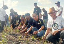 Road HPN 2024: PWI Kepri dan KPMI Tanam 50 Ribu Pohon Mangrove di Bintan, Didukung Ricoh Group dan YL Forest City Ltd PWI Kepri dan KPMI Tanam 50 Ribu Pohon Mangrove di Bintan