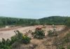 Progres Pembangunan Rumah Contoh Rempang, BP Batam Targetkan Selesai Maret 2024