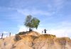 Hari Ini, Selasa, Cuaca Cerah Berawan Dominan di Kepulauan Riau Cuaca Cerah Berawan Dominan di Kepulauan Riau