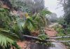 Ancaman Bencana Hidrometeorologi di Sumatera Barat: Banjir dan Longsor Mengintai Ancaman Bencana Hidrometeorologi di Sumatera Barat: Banjir dan Longsor Mengintai