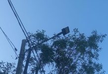 Gerak Cepat Dinas Perkim Bintan Perbaiki Lampu di Jalan An-nur Tanjung Uban Lampu Jalan Tanjung Uban