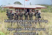 Netizen Indonesia Dukung BEM UI Lakukan KKN di Papua BEM UI KKN di Papua 1