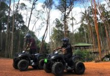 Menikmati Keindahan alam dan Aktivitas Seru di Panbil Nature Reserve Batam Menikmati Keindahan alam dan Aktivitas Seru di Panbil Nature Reserve Batam