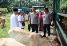 Jelang Idul Adha, Kapolres Pasaman Barat Tinjau Pasar Ternak dan Pasar Rakyat Jelang Idul Adha, Kapolres Pasaman Barat Tinjau Pasar Ternak dan Pasar Rakyat