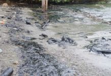 Johor Mulai Bersihkan Pantai dan Aktifkan Patroli Pasca Tumpahan Minyak di Singapura Johor Mulai Bersihkan Pantai dan Aktifkan Patroli Pasca Tumpahan Minyak di Singapura
