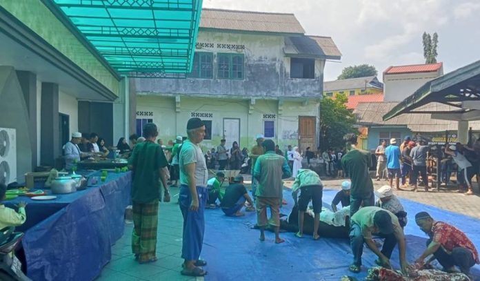 Panitia Kurban Masjid Al- Hikmah Terima 6 Ekor Sapi Bantuan Pemerintah