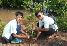 Peringati Hari Lingkungan Hidup, PT Thiess & KITK Tanam 500 Pohon Mangrove di Nongsa Peringati Hari Lingkungan Hidup, PT Thiess & KITK