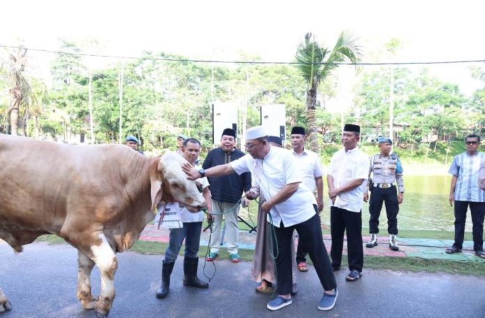 Polda Kepri dan Jajaran Sembelih 65 Sapi dan 36 Ekor Kambing