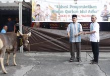 Idul Adha 1445 H, Polresta Barelang Potong 7 Ekor Sapi dan 15 Ekor Kambing Idul Adha 1445 H, Polresta Barelang Potong 7 Ekor Sapi dan 15 Ekor Kambing