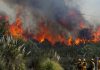 BMKG Batam Imbau Masyarakat Waspadai Potensi Kebakaran Hutan di Musim Panas BMKG Batam Imbau Masyarakat Waspadai Potensi Kebakaran Hutan di Musim Panas