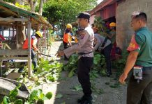 Bhabinkamtibmas Polsek Siantan Bersama Babinsa Bantu Warga Tebang Pohon di Pinggir Jalan Bhabinkamtibmas Polsek Siantan Tebang Pohon