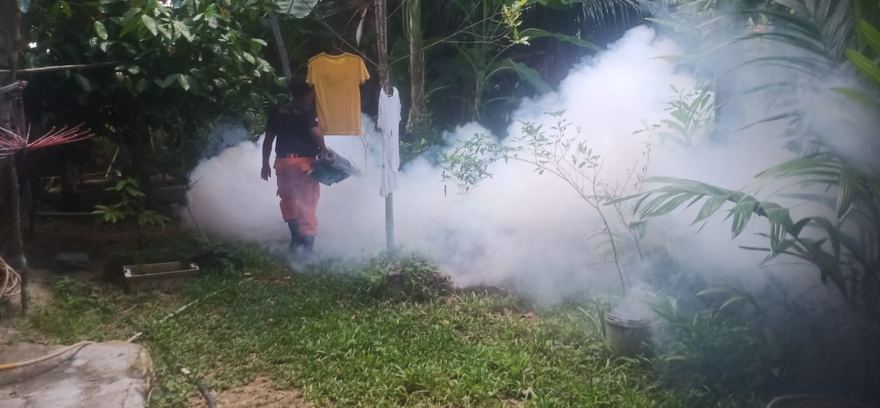 fogging (pengasapan) di daerah-daerah yang teridentifikasi