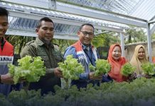 Hidroponik Semakin Diminati, Pertamina Bantu Wujudkan Desa Mandiri Energi Dumai, 12 Juli 2024, Hidroponik telah menjadi tren pertanian di era modern dengan memanfaat lahan sempit yang ada pekarangan rumah Foto: Istagram Pertamina